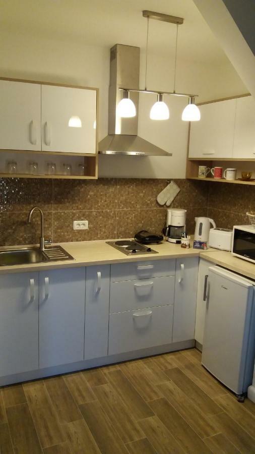 Enjoy Apartment Timisoara Bagian luar foto