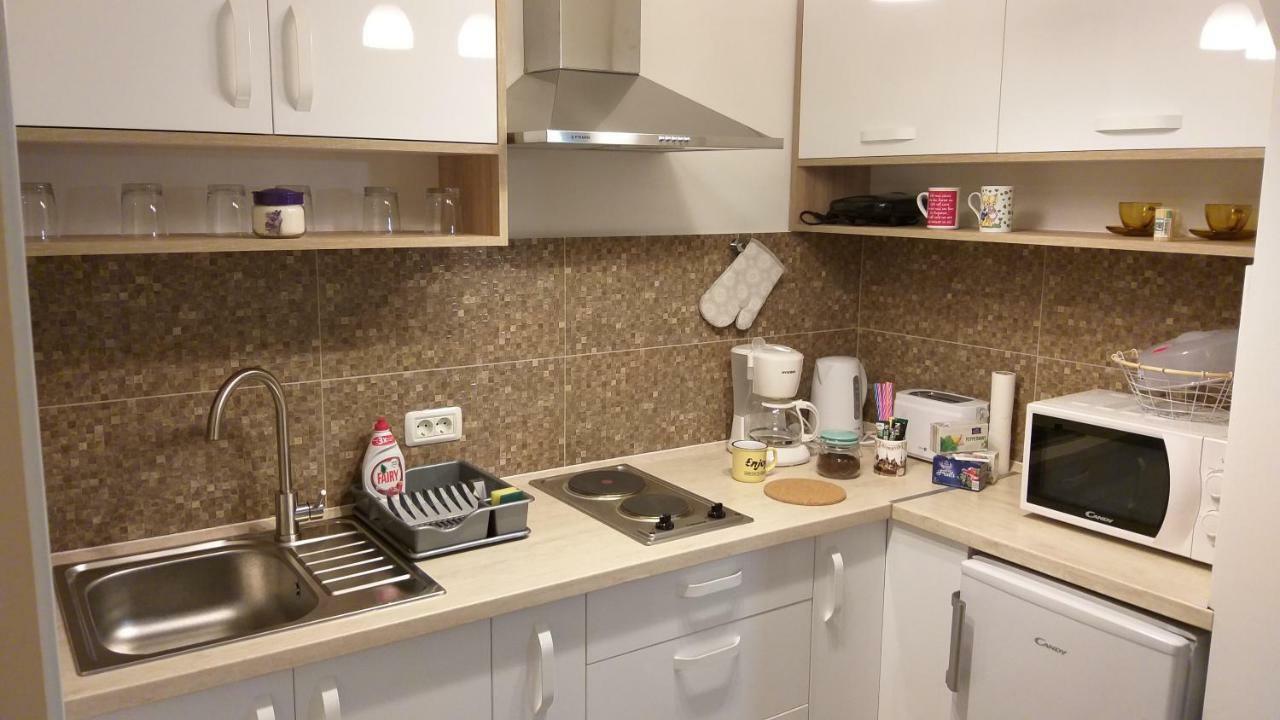 Enjoy Apartment Timisoara Bagian luar foto