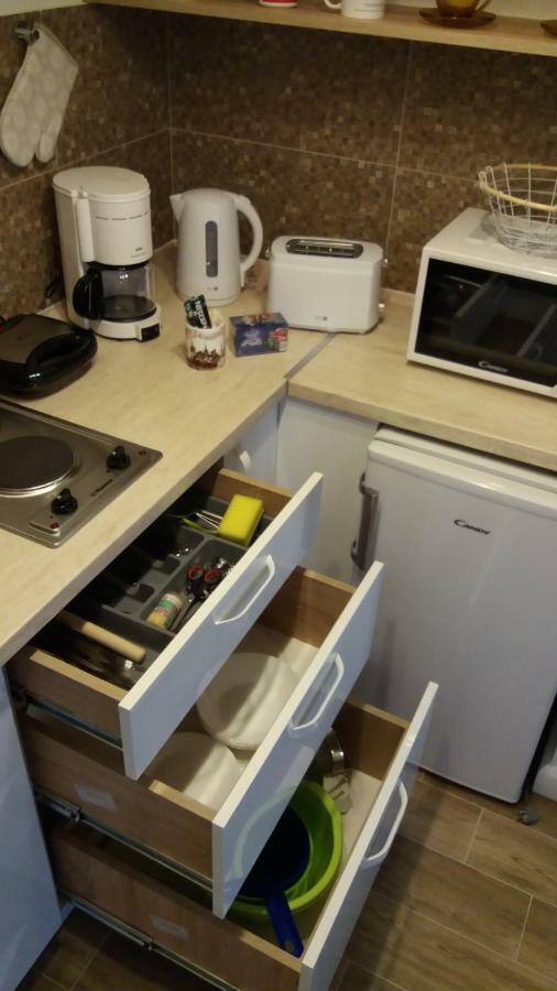 Enjoy Apartment Timisoara Bagian luar foto