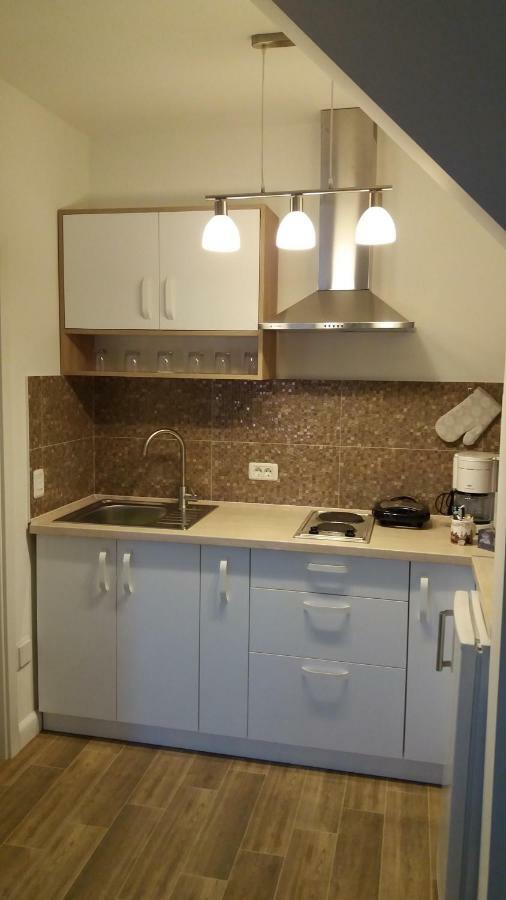 Enjoy Apartment Timisoara Bagian luar foto