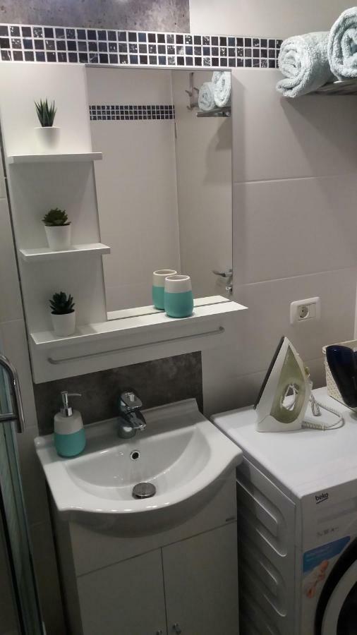 Enjoy Apartment Timisoara Bagian luar foto